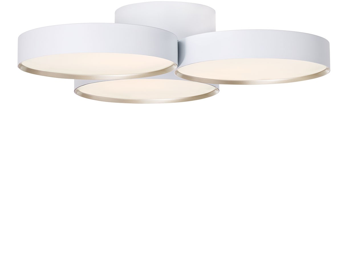 LED Ceiling Lamp / LED シーリングランプ #119898